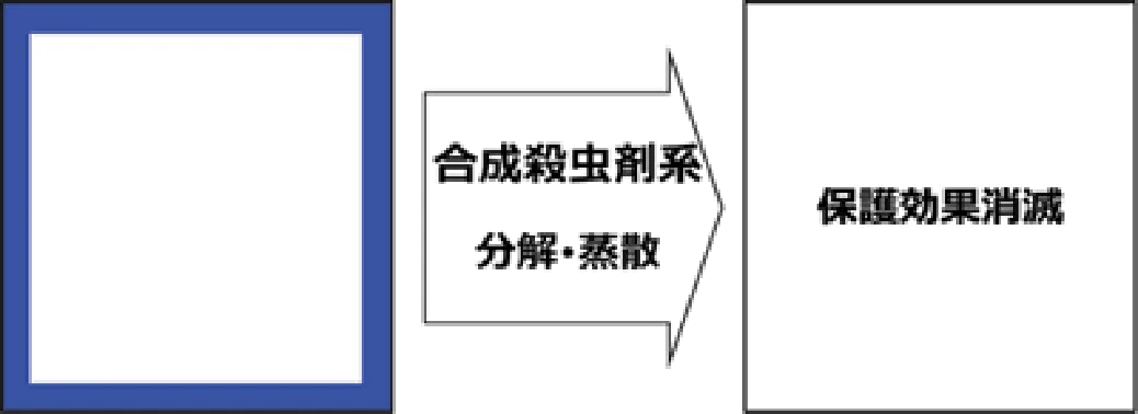 ホウ酸塩